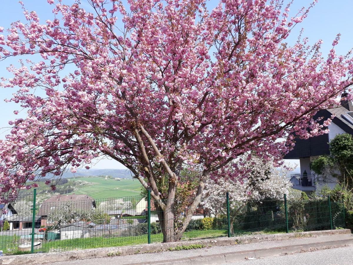 Haus Der Rosen Apartment Boppard Ngoại thất bức ảnh